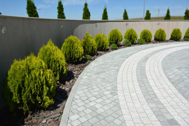 Reasons to Select Us for Your Driveway Paving Requirements in Valley Mills, TX